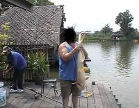 post-11672-1168367373_thumb.jpg