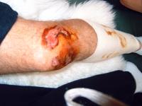 post-21441-1169395391_thumb.jpg