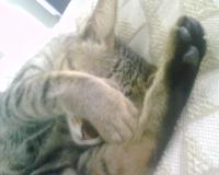 post-25605-1201327517_thumb.jpg
