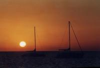post-48312-1200802363_thumb.jpg