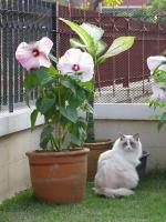 post-20094-1232361232_thumb.jpg