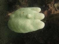 post-10318-0-97662000-1295883751_thumb.j