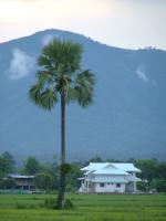 post-116237-0-71863400-1294104556_thumb.