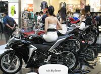 post-70604-0-40640100-1296356837_thumb.j