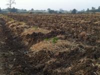 post-108598-0-63522000-1325543276_thumb.