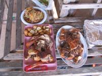 post-110702-0-75076100-1327847077_thumb.