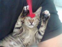 post-140931-0-26396900-1327331724_thumb.