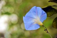 post-21351-0-07400700-1325991021_thumb.j