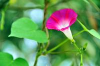 post-21351-0-55176000-1325991039_thumb.j