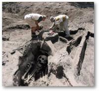 post-41194-0-78250300-1325948139_thumb.j