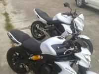 post-52293-0-82220000-1326635448_thumb.j