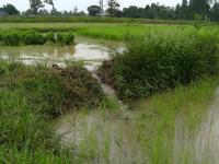 post-100087-0-19491400-1358952584_thumb.