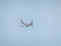 post-104736-0-11895000-1359273711_thumb.