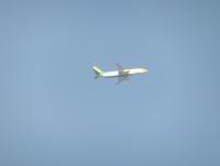 post-104736-0-12280700-1357723515_thumb.