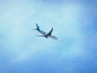 post-104736-0-17624400-1357101800_thumb.