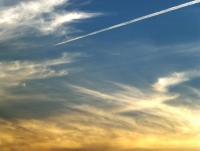 post-104736-0-24779500-1357635966_thumb.