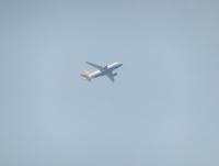 post-104736-0-34302600-1357460022_thumb.