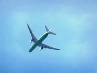 post-104736-0-34309800-1357655339_thumb.