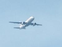 post-104736-0-84816700-1357015765_thumb.