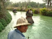 post-126208-0-62645100-1359055665_thumb.