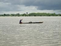 post-126208-0-88001000-1358333958_thumb.