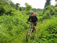 post-129800-0-78716700-1357568681_thumb.