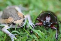 post-146075-0-11787400-1358410133_thumb.