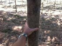 post-149310-0-56776300-1357618559_thumb.