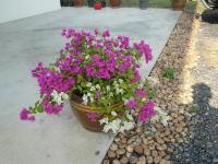 post-14979-0-07590700-1358244033_thumb.j