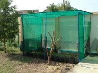 post-14979-0-30651900-1358244019_thumb.j