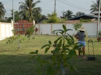 post-14979-0-80174500-1358244025_thumb.j