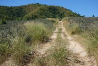 post-151257-0-94239000-1358690031_thumb.