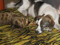 post-157118-0-20297000-1358957182_thumb.