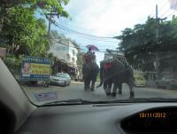 post-18822-0-53024300-1357041206_thumb.j