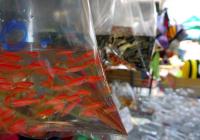 post-18852-0-36871000-1358955562_thumb.j