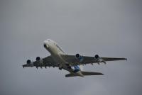 post-31600-0-92083700-1357003086_thumb.j