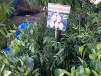 post-37242-0-07512400-1357811449_thumb.j