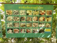 post-37242-0-18711600-1357850003_thumb.j