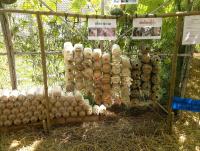 post-37242-0-26708400-1357850167_thumb.j