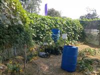 post-37242-0-40464300-1357849975_thumb.j