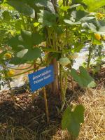 post-37242-0-45246100-1357811430_thumb.j