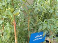 post-37242-0-54437800-1357811347_thumb.j