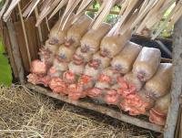 post-37242-0-57284400-1357850091_thumb.j