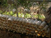 post-37242-0-57836100-1357850275_thumb.j