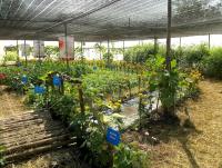 post-37242-0-65826900-1357811397_thumb.j