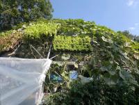 post-37242-0-68841100-1357849937_thumb.j