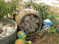 post-37242-0-69277600-1357850191_thumb.j