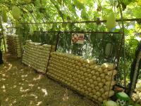 post-37242-0-72746100-1357850140_thumb.j