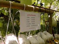 post-37242-0-89369500-1357850062_thumb.j