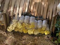 post-37242-0-94256300-1357850216_thumb.j